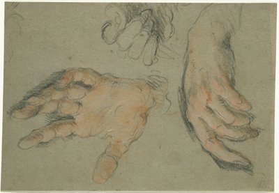 Study of Three Hands by Bernardo Strozzi