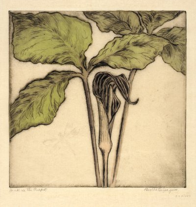 Jack in the Pulpit by Bertha E. Jaques