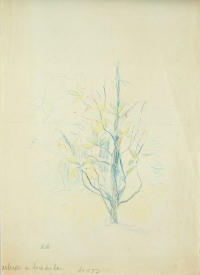 Bushes by the lake, 1893 by Berthe Morisot