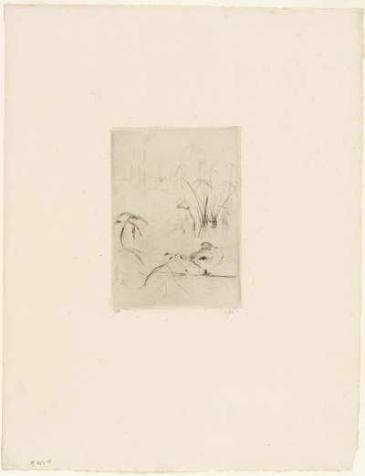 The Duck by Berthe Morisot