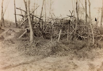 Album of the First World War in Friuli-Venezia Giulia: defensive obstacle (cavalli di Frisia), 05/1916 by Bertoni Bertoni