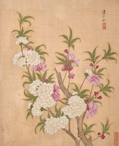 Album of Flowers by Bing Yun