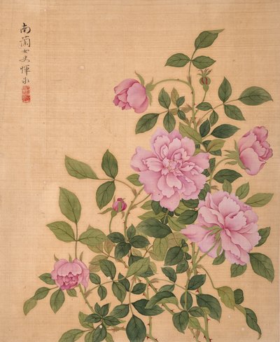 Rose from Album of Flowers by Bing Yun