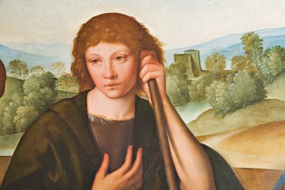 Adoration of the Shepherds Madonna with Infant Jesus and two shepherds (detail) by Boccaccio Boccaccino