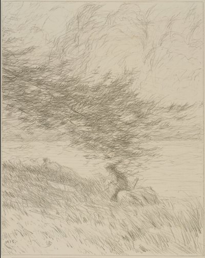 The Pine Bough by Bolton Brown