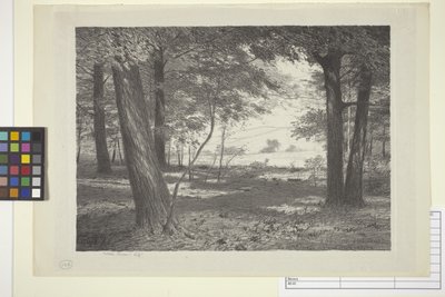 Edge Of The Woods by Bolton Coit Brown