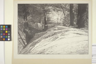 Rocks And Trees by Bolton Coit Brown
