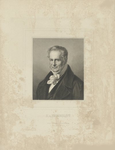 Portrait of Alexander von Humboldt, c. 1850 by Breitkopf and Härtel