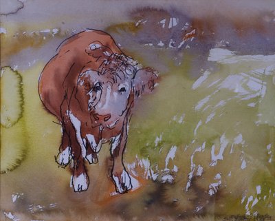 The Bullock by Brenda Brin Booker
