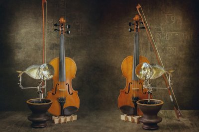 Concert by Brig Barkow