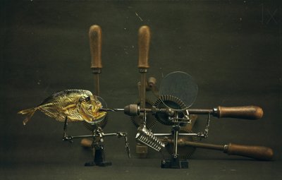 Curious Fish Apparatus by Brig Barkow