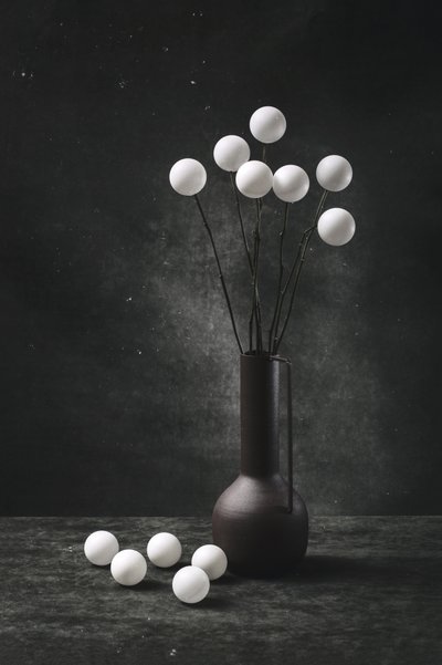 Modern Spherical Still Life by Brig Barkow