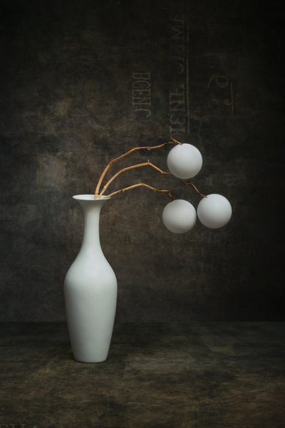 Organic White Still Life by Brig Barkow