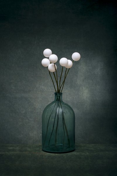 Serene Green Bottle Still Life by Brig Barkow
