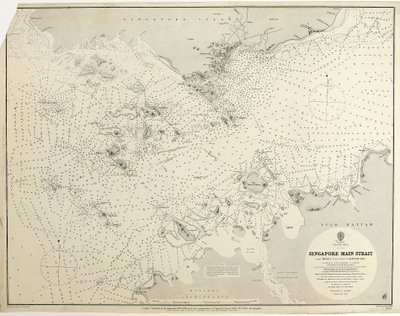China Sea Singapore Main Strait From Tree I (pulo Angup) to Battam Bay Surveyed by Staff Commander J.W. Reed, R.N. and the officers of H.M.S. Rifleman by British School