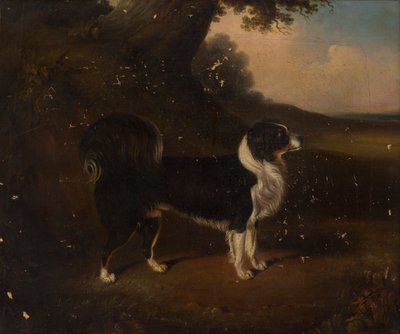 Portrait of a Dog by British School