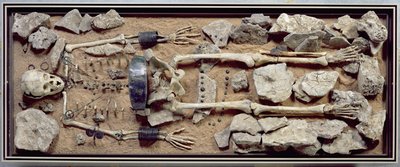 Richly endowed female grave from Molzbach bei Huenfeld by Bronze Age