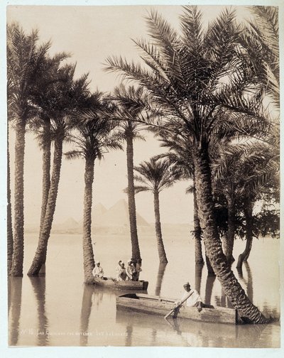 A Palm Grove at the Foot of the Pyramids of Egypt - photograph by the Zangali brothers, late 19th century by Brothers Zangaki