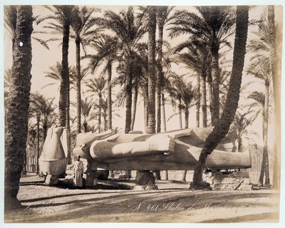 A statue of Memphis lies in a palm grove in Egypt - photograph by the Zangali brothers, late 19th century by Brothers Zangaki
