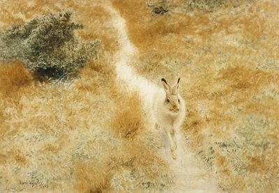A Winter-Hare in a Landscape by Bruno Andreas Liljefors