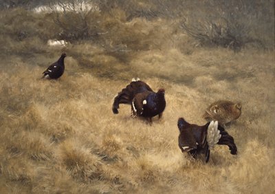 Black Grouse Mating Game in the Moss by Bruno Andreas Liljefors