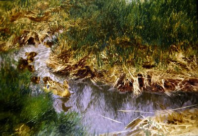 Ducks and Ducklings in a Creek by Bruno Andreas Liljefors