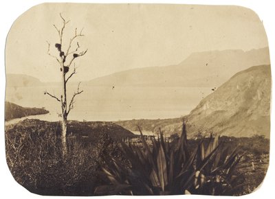 Lake and Mount Tarawera from Te Wairoa, 1860 by Bruno Hamel