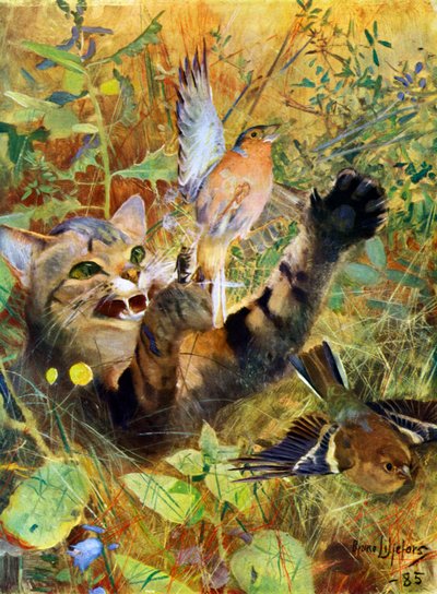 A Cat and a Chaffinch, 1885-1945 by Bruno Andreas Liljefors