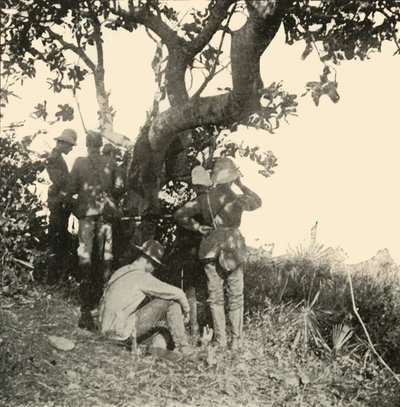 Tree from which Captain Paget...Saw...San Juan Battle, Spanish-American War, June 1898, 1899 by Burr McIntosh