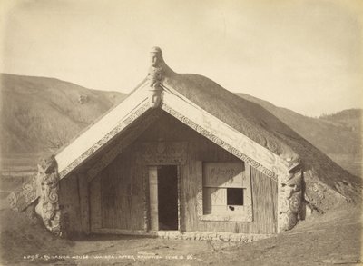 Runanga House - Wairoa - After Eruption Jun 10.86, July 1886 by Burton Brothers Studio