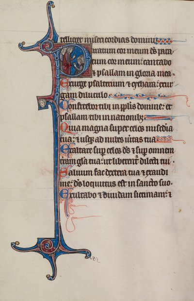 Initial P: David Addressing a Group by Bute Master