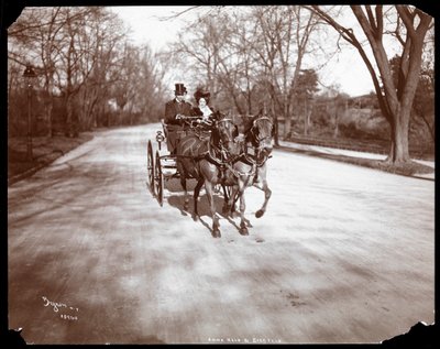 Anna Held and Florenz Ziegfeld driving a horsedrawn carriage, New York, 1904 by Byron Company