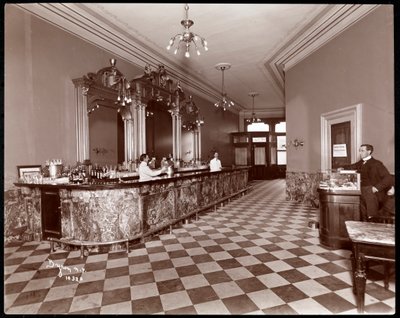 Bar at Gilsey House, Broadway and 29th Street, New York by Byron Company
