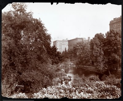 Central Park with a View of the Savoy and Plaza Hotels, 5th Avenue and 59th Street, New York by Byron Company