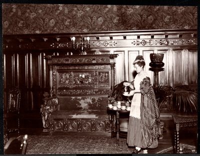 Guest Taking Tea at the Hotel Marie Antoinette, 1895 or 1896 by Byron Company