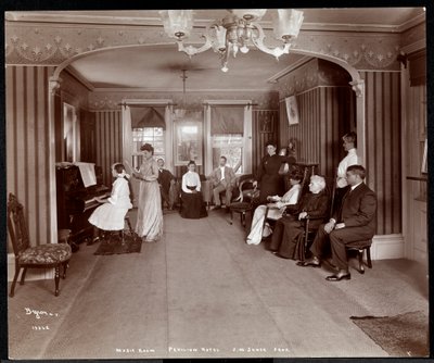 Recital in the Music Room at Janer