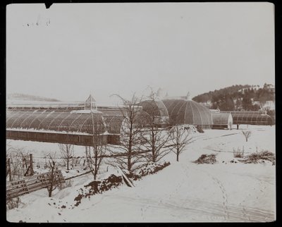 The Greenhouses in the Snow at the Helen Gould Estate (late Jay Gould Residence) at Tarrytown, New York, 1894 by Byron Company