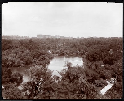 View of Central Park from the Plaza Hotel, 5th Avenue and 59th Street, New York by Byron Company