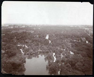 View of Central Park from the Plaza Hotel, 5th Avenue and 59th Street, New York, c.1907 by Byron Company