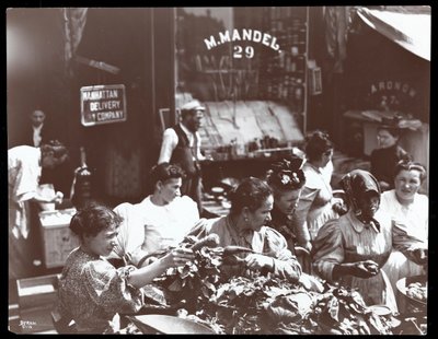 View of women shopping for vegetables from a peddler on Hester Street, New York, 1898 by Byron Company