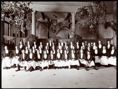 Waiters at Hotel Delmonico, 1902 by Byron Company