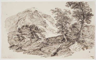 Mountain Landscape with Trees by C.F. von Rumohr