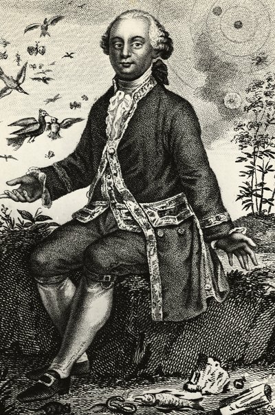 Portrait of Georges-Louis Leclerc de Buffon (1707-1788), French naturalist and mathematician, engraving by J.B. and Brown J. Rowbotham