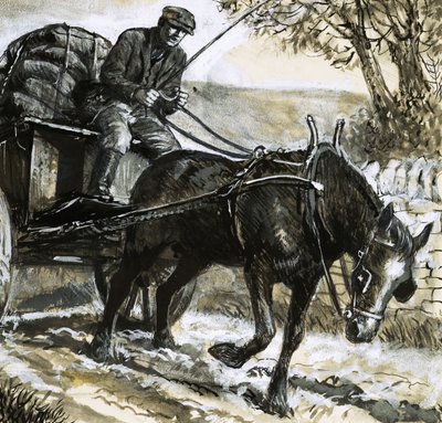 Horses were underfed and overworked by C.L. Doughty