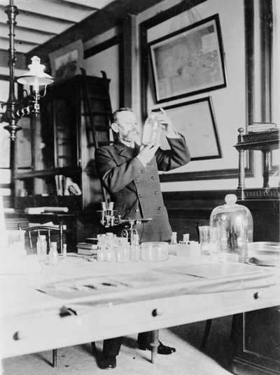 Honoré Charles Grimaldi, Prince Albert of Monaco in his study by C. Chusseau Flaviens