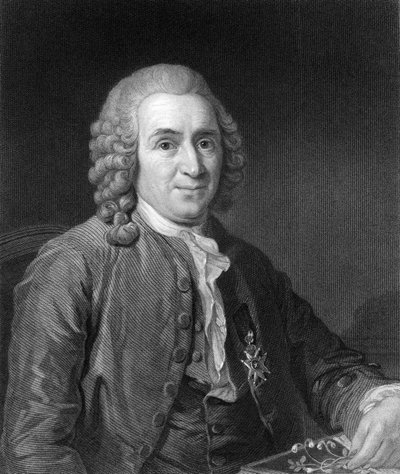 Carolus Linnaeus, Swedish naturalist by C. E. Wagstaff