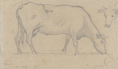 Grazing Cow, with Another Cow