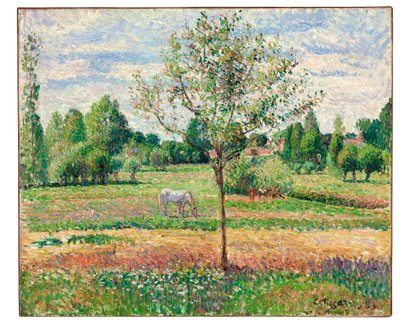Meadow with Grey Horse, Eragny by Camille Jacob Pissarro