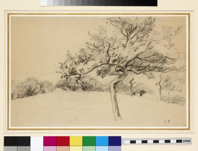 Study of the orchard at Eragny-sur-Epte with a tree in the foreground by Camille Jacob Pissarro