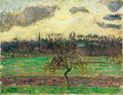 The Meadows at Éragny, Apple Tree, 1894 by Camille Jacob Pissarro